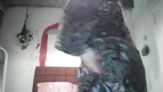 veryspecialprincess - Video  [Chaturbate] polish cougar natural lush