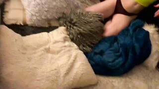 harpentertainment - Video  [Chaturbate] dirtytalk dirty shoplifter crazy