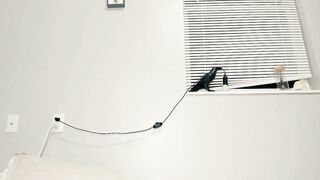 venicebtchh - Chaturbate Online Stream sloppy pawg finger Internet recording