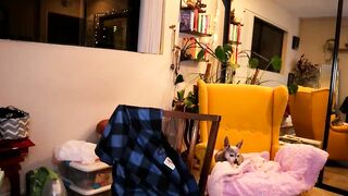 chrysanthulu - Chaturbate Stream newmodel webcam love bisexual