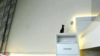 meow_mikasa - Chaturbate Stream dildoplay Online recording camcam slap