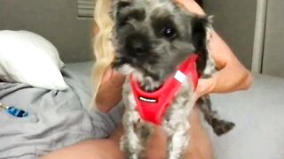 lilyskyco - Chaturbate Stream Live video capture leggings faketits friendly