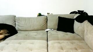 scarletterose_504259 - Chaturbate Live queen naturalbigtits bigeyes smoking