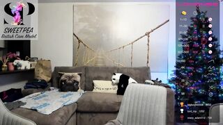 short_sweetpea - [Chaturbate Cam Video] Pussy Chaturbate Hidden Show