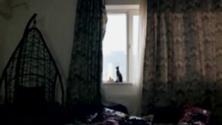 lylas_malika - Video  [Chaturbate] delicia smooth love-making shemale-porn